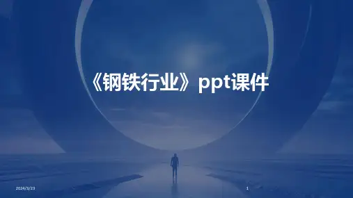 2024年度《钢铁行业》ppt课件