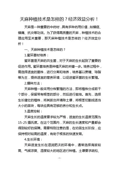 天麻种植技术是怎样的？经济效益分析!