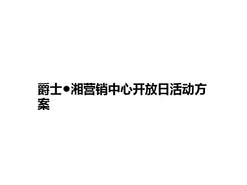 某营销中心开放日活动策划方案PPT(17张)