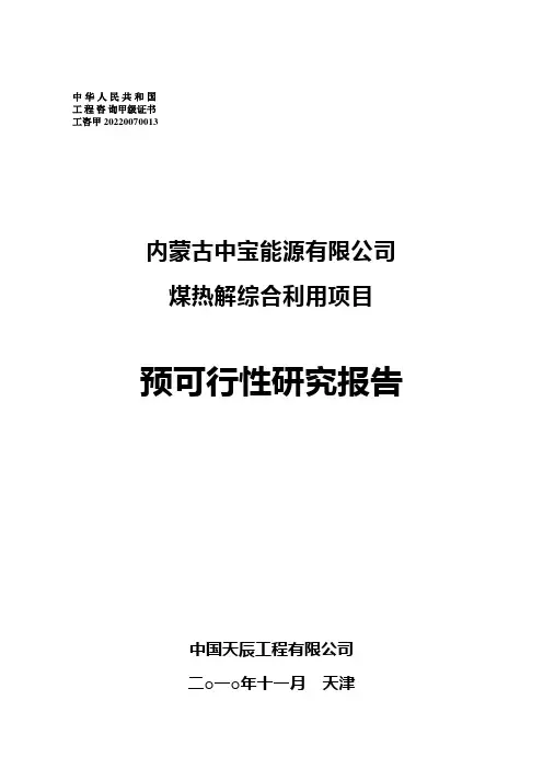 煤热解综合利用建设项目预可行性研究报告