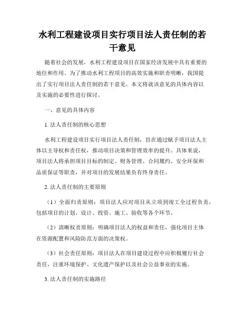 水利工程建设项目实行项目法人责任制的若干意见