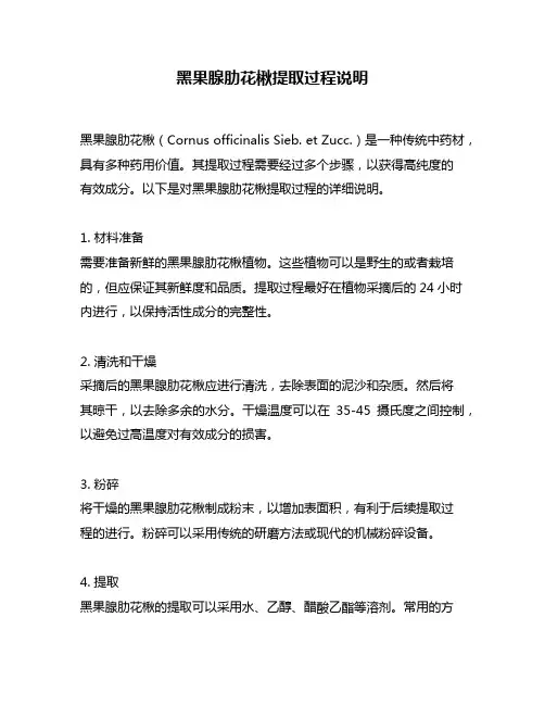 黑果腺肋花楸提取过程说明