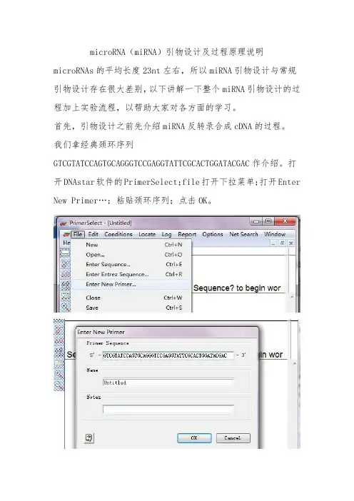 microRNA(miRNA)引物设计及过程原理说明