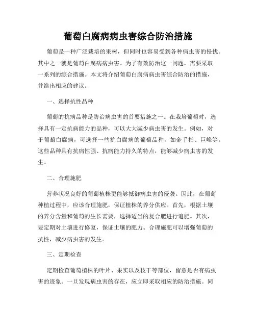 葡萄白腐病病虫害综合防治措施