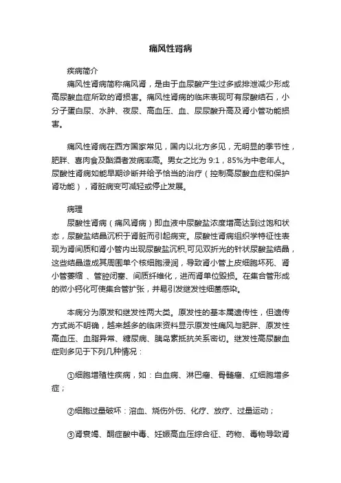 痛风性肾病