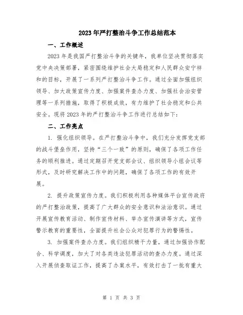 2023年严打整治斗争工作总结范本