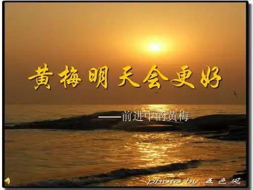 黄梅