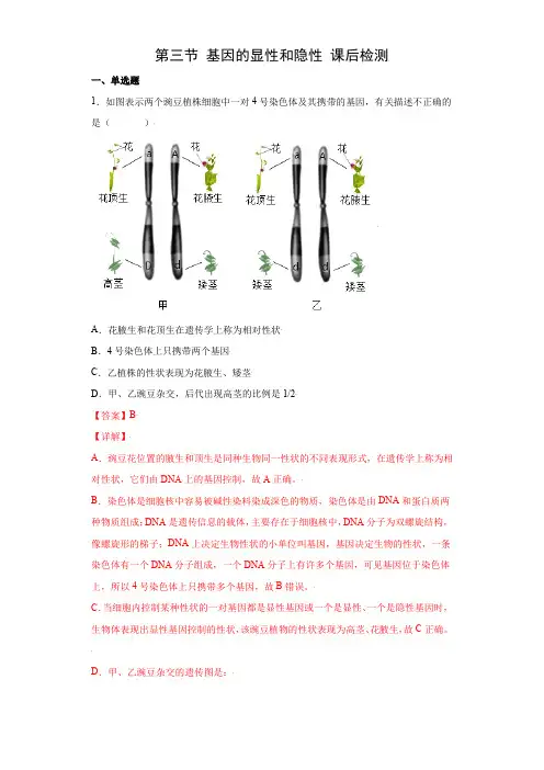 7.2.3 基因的显性和隐性(练习)-(人教版)(解析版)