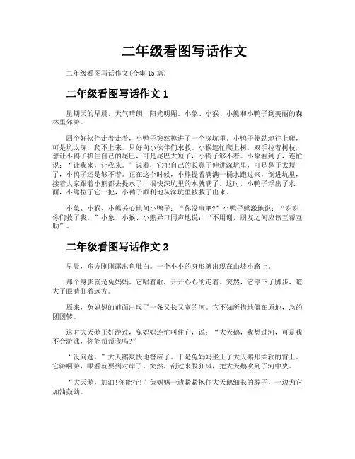 二年级看图写话作文