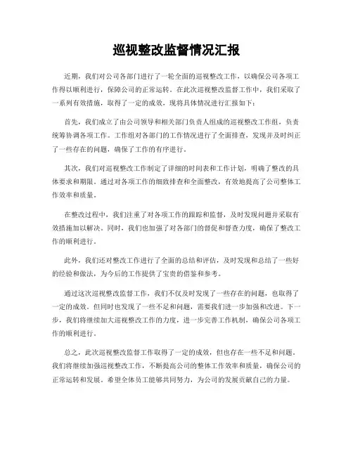 巡视整改监督情况汇报
