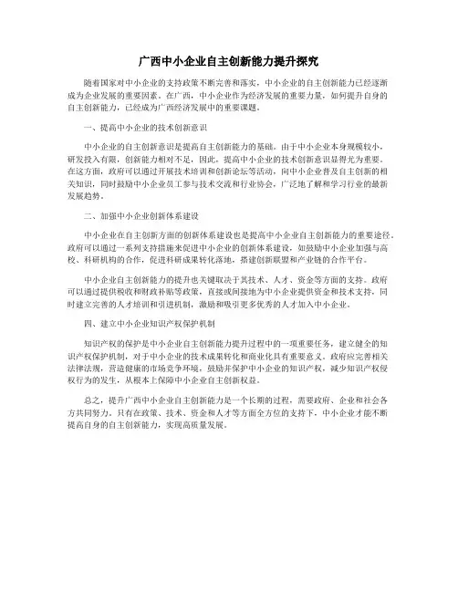广西中小企业自主创新能力提升探究