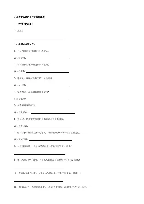 小学语文总复习句子专项训练题