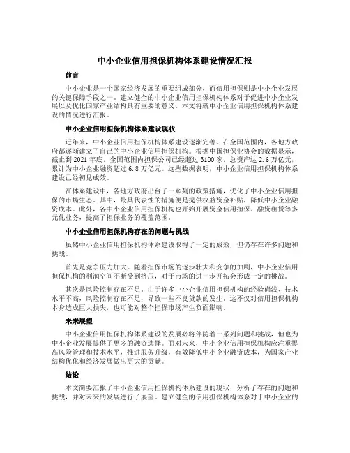 中小企业信用担保机构体系建设情况汇报