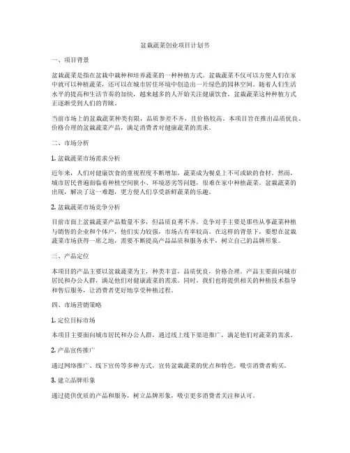 盆栽蔬菜创业项目计划书