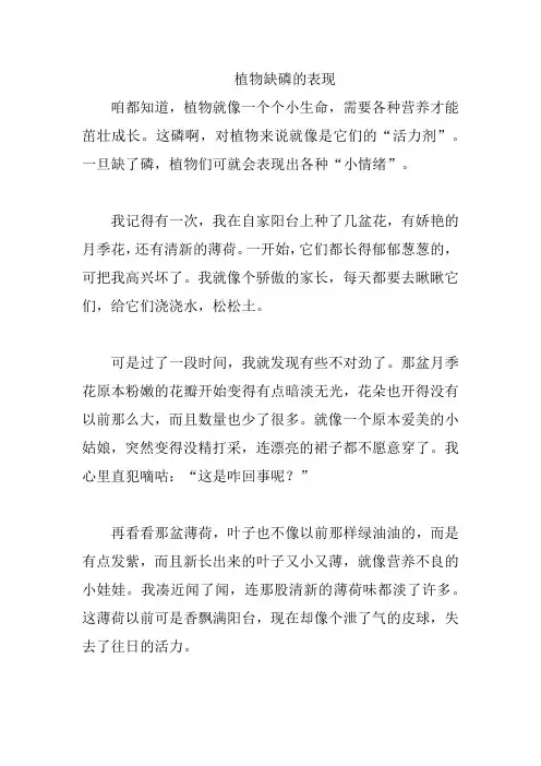植物缺磷的表现