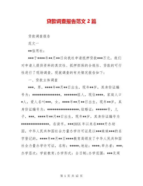 贷款调查报告范文2篇
