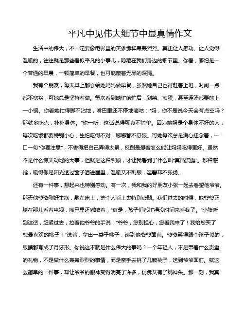 平凡中见伟大细节中显真情作文