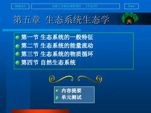 生态学 12生态系统生态学.ppt