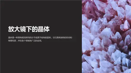 教科版科学六下放大镜下的晶体课件之一