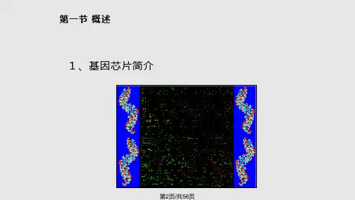 八章生物信息学在基因芯片中的应用