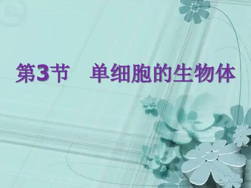 苏科版初中生物七下 单细胞的生物体课件 