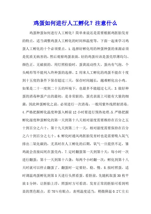 鸡蛋如何进行人工孵化？注意什么