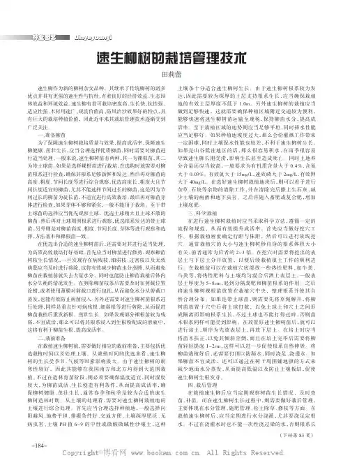 速生柳树的栽培管理技术