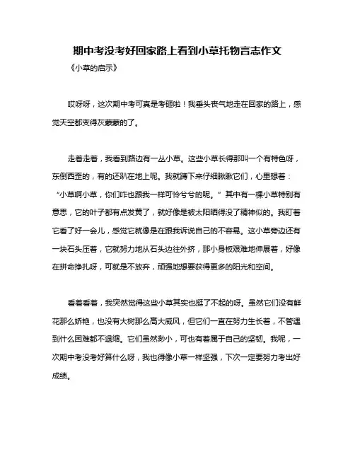 期中考没考好回家路上看到小草托物言志作文