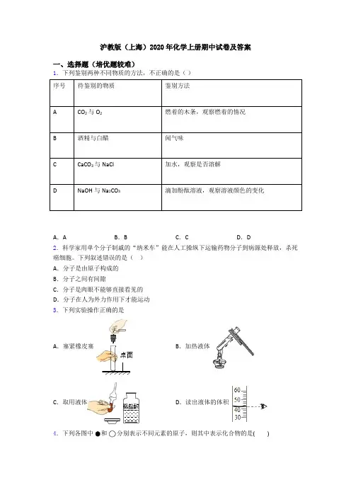 沪教版(上海)2020年初三化学上册期中试卷及答案