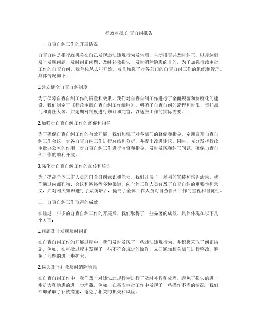 行政审批 自查自纠报告