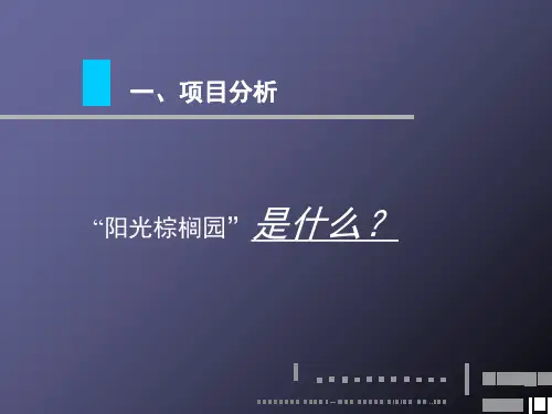 房地产策划案例中海阳光棕榈园