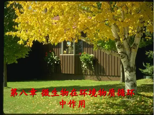 环境工程微生物学微生物在环境物质循环中作用ppt课件