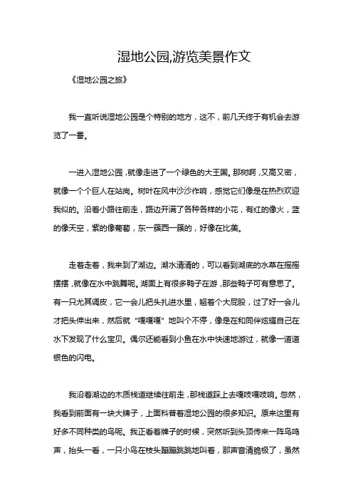湿地公园,游览美景作文