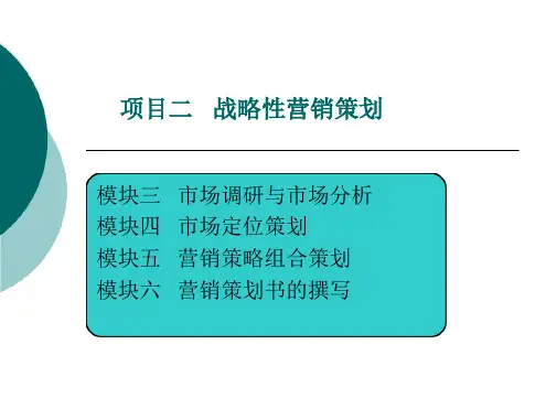 战略性营销策划