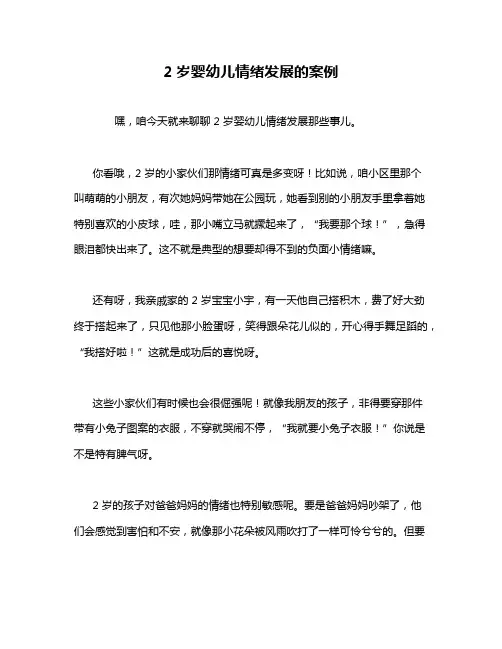 2岁婴幼儿情绪发展的案例