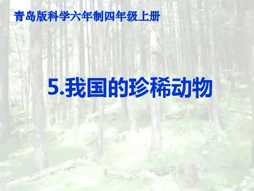 5.我国的珍稀动物