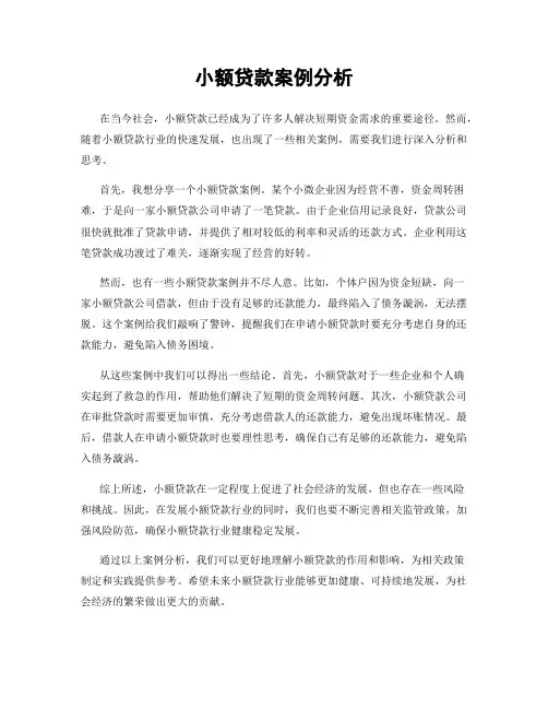 小额贷款案例分析