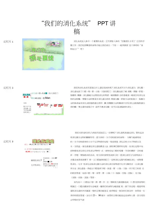 我们的消化系统