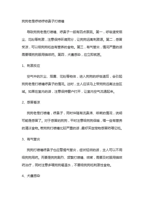 狗狗老是哼哧哼哧鼻子打喷嚏