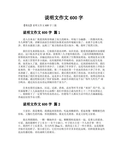 说明文作文600字