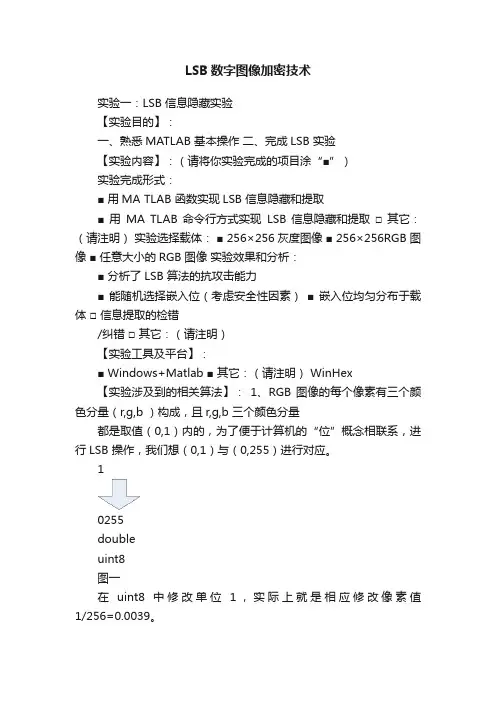 LSB数字图像加密技术
