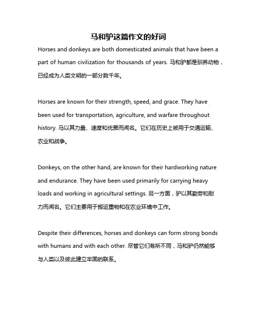 马和驴这篇作文的好词