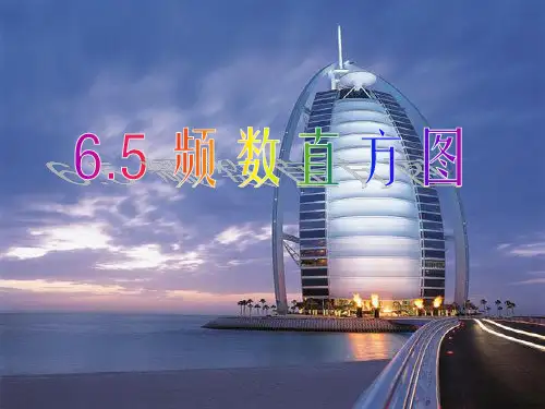 新浙教版数学七下65频数直方图学案课件PPT模板