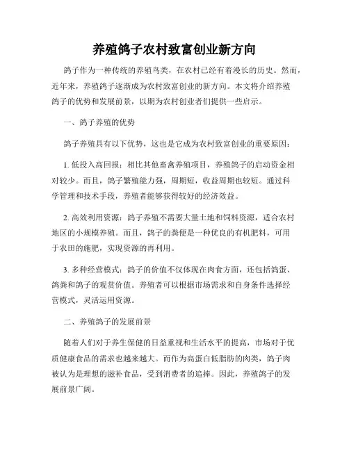 养殖鸽子农村致富创业新方向