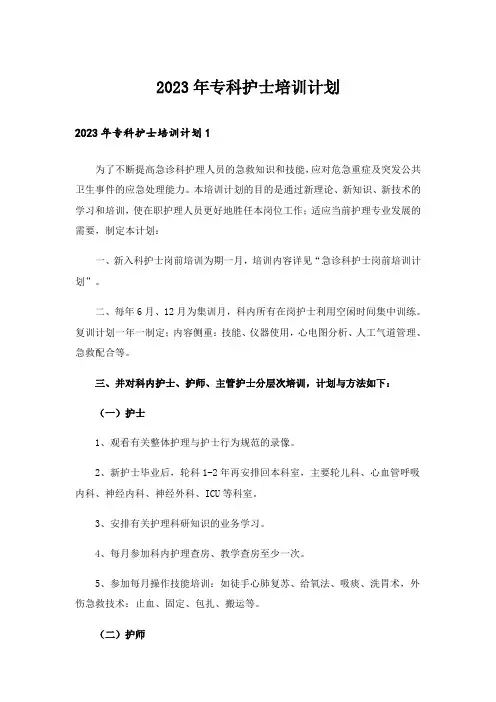 2023年专科护士培训计划