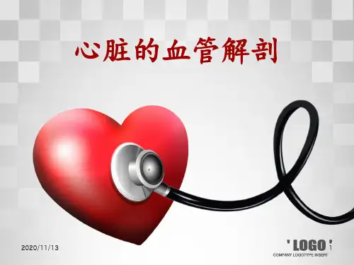 心脏的血管解剖 ppt课件
