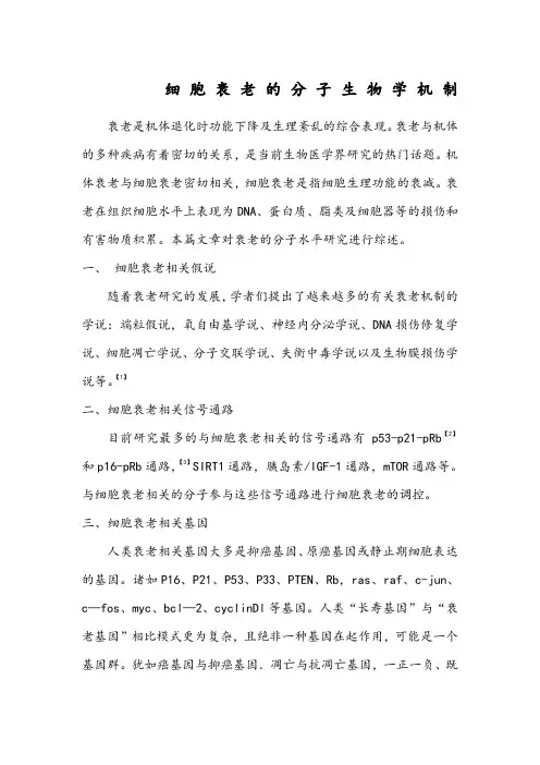 细胞衰老的分子生物学机制