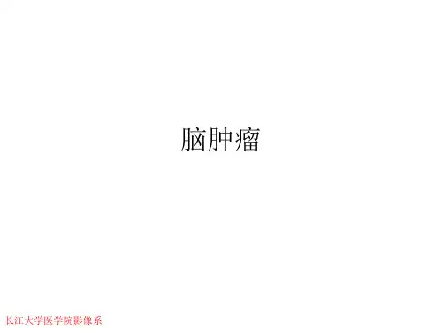 脑肿瘤_长江大学医学影像系