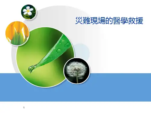 灾难现场医学救援  PPT课件