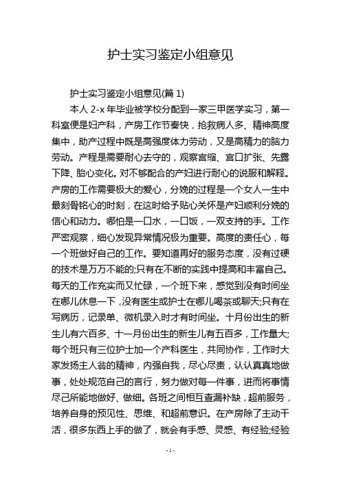 护士实习鉴定小组意见